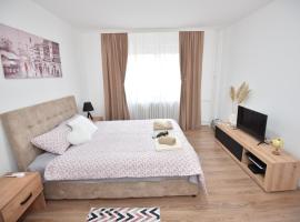 Apartman 1, cheap hotel in Kragujevac