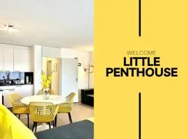 Little Penthouse ****