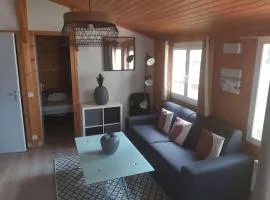 Chalet climatisé avec piscine chauffée et parking dans une pinède calme - FR-1-607-64