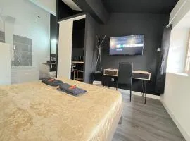 Charmant Studio Baignoire