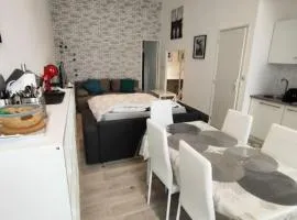 Grand volume calme centre-ville Tan1