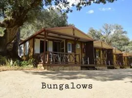 Bungalows, Camping Vega de Francia