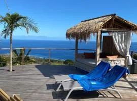 La case aux oiseaux - villa vue mer exceptionnelle