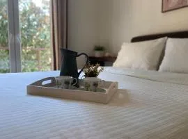 Family's home Trikala