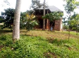 Jungle lodge, hotel v destinaci Fort Portal