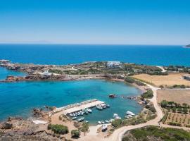 Martineli Residence - A Beachfront Estate, villa in Drios