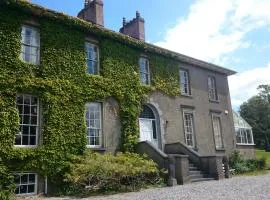Newrath House X91 DK 4V