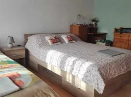 Apartman 1 RIBIČ