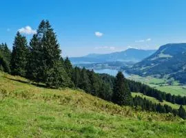 Ferienwohnung Sonnenblume mit Hallenbad und Sauna