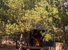 cabañas riveras rentals
