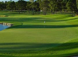 Timber Top golf course view: The Woodlands şehrinde bir kulübe