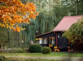 Zacisze nad Sanną