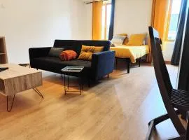 Appartement centre Ville Carmaux