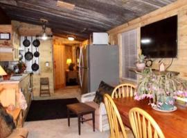 Southern comfort cabin in Ludowici, hotell i Ludowici