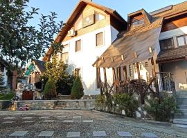 Vila Slanic, B&B i Slănic