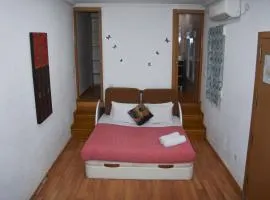 Estudio Nueva Numancia