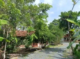Homestay Mẹ Khang 2