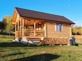 Tiny House Stefana with garden in Transylvania, campsite in Sărădiş