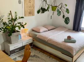 Cozy Room in an old Farmhouse near Vaduz, habitación en casa particular en Sevelen