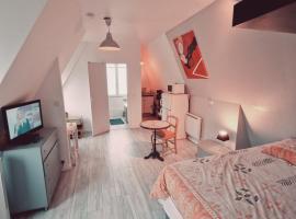 세브르에 위치한 호텔 Location saisonnière, meublée, appartement type studio à Sèvres