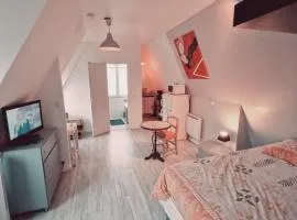 Location saisonnière, meublée, appartement type studio à Sèvres