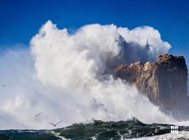 Nazaré WSL Experience 2023，Carrascal的家庭旅館