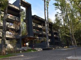 Dpto Puc&oacute;n, camino al volc&aacute;n, resort de esqui em Puc&oacute;n