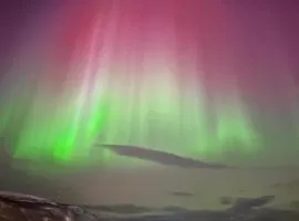 Rom sentralt i Tromsø