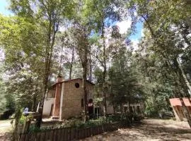 El Búho, cabañas, camping, trailer park