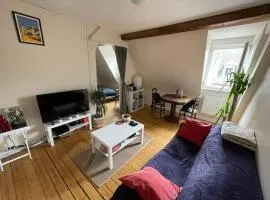 Joli 2 pièces - Krutenau Austerlitz