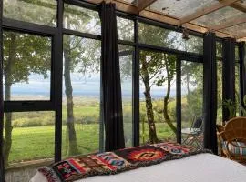 Happy land cabins