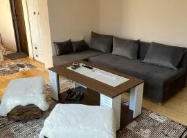 The Chestnut Apartments - Апартаменти Кестените