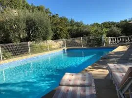 Large house with a pool in Provence