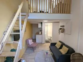 Duplex, bohème et fonctionnel proche Gratte-Ciel