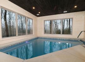 Tennessee Swim, villa in Pittman Center