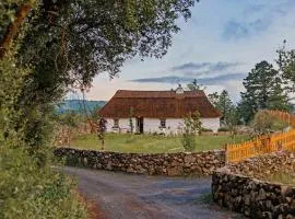 Patsys Cottage 415