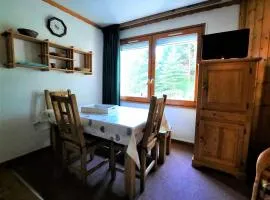 Charmant studio cabine 4 pers. aux Bruyères, pied des pistes, animaux permis - FR-1-452-7