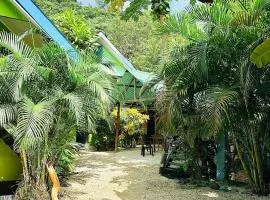 Surf Paradise