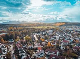 La FORGE Appartement chaleureux et Grands espaces