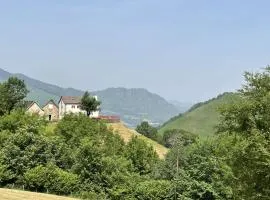 Behiagoitia