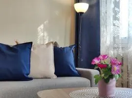 Musninkų apartment near Akropolis