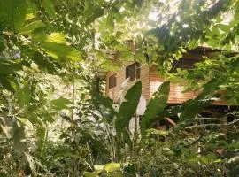 Cocoa Jungle Art Villa 8 min by car from Cocles Beach
