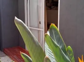 Hermoso Departamento En La Ciudad De Mendoza