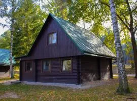 Holiday Home Kemp Stříbrný rybník-12 by Interhome