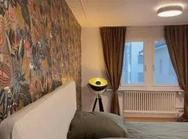 Süsse Wohnung in Zürcher Altstadt 3