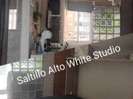 SALTILLO ALTO WHITE STUDIO، فندق عائلي في توريمولينوس
