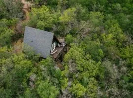 The Maverick: A-Frame w/ Hammock and Tree Top View