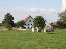 Ferienwohnung auf dem Traubshof