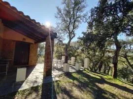 Pozuelo 2 JABUGO