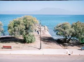 La Playa Suites 2